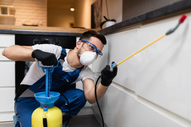 Best Cockroach Control Services  in Natalia, TX