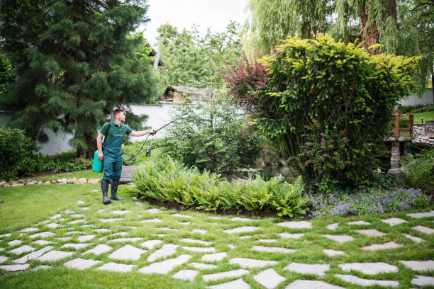 Best Wasp Removal Services  in Natalia, TX