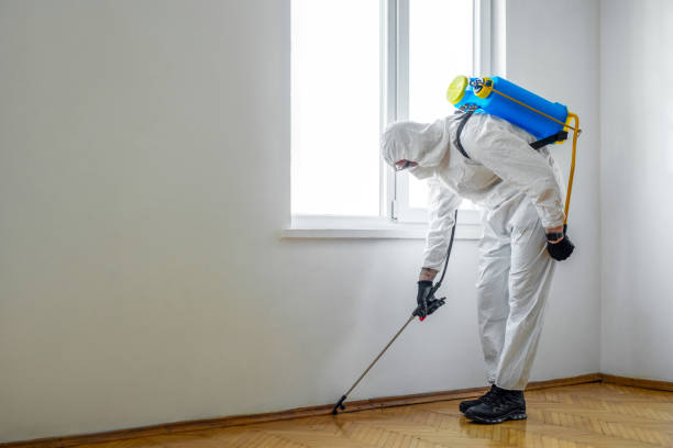 Best Best Pest Control Companies  in Natalia, TX