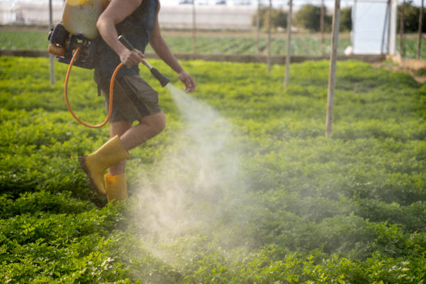 Best Commercial Pest Control Services  in Natalia, TX