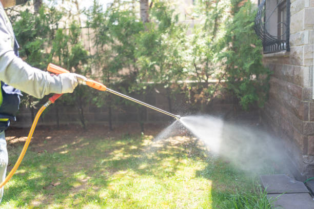 Best Pest Prevention Services  in Natalia, TX