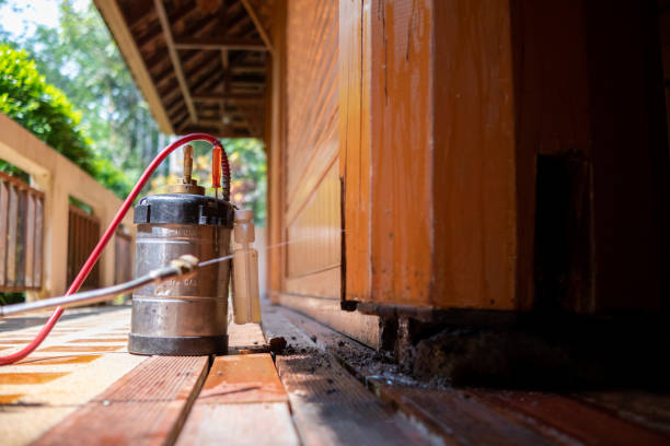 Best Pest Control for Businesses  in Natalia, TX