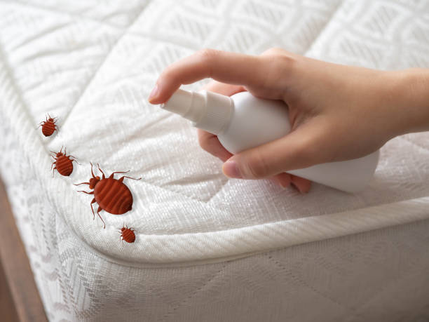 Best Affordable Pest Control Services  in Natalia, TX