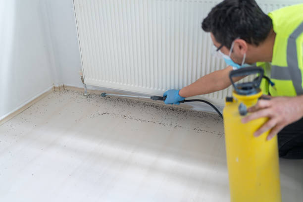 Reliable Natalia, TX Pest Control Solutions